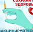 В поликлинику ТОГБУЗ «Уваровская ЦРБ» поступило 3 вида вакцин против гриппа - Уваровская ЦРБ